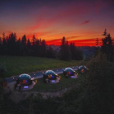Peak Glamp & Jacuzzi 호텔 자코파네 외부 사진